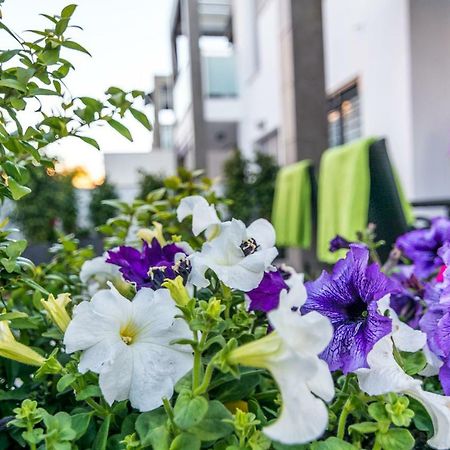 Eluxuria Sunny Villa تورّيفيِخا المظهر الخارجي الصورة